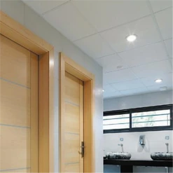 Dalle De Plafond Démontable à Bords Droits (A) - Knauf Danoline Pixel - Blanc - 600 MM X 600 MM