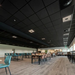 Eurocoustic Dalle De Faux Plafond - Tonga 22 Mm - Bords A (droits) - NOIR - 600 MM X 600 MM -Magasin Lemaitre Sécurité 2 15