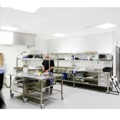 Dalle De Plafond Pour Locaux Humides - Ecophon Hygiène Performance A - 600 MM X 600 MM - ép.20 MM